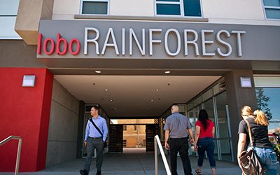 Sandia to Put Down Roots at Lobo Rainforest Building
