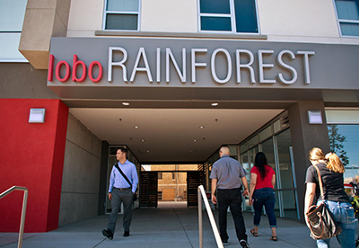 Sandia to Put Down Roots at Lobo Rainforest Building