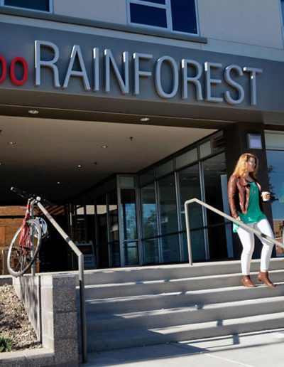 Lobo Rainforest Building